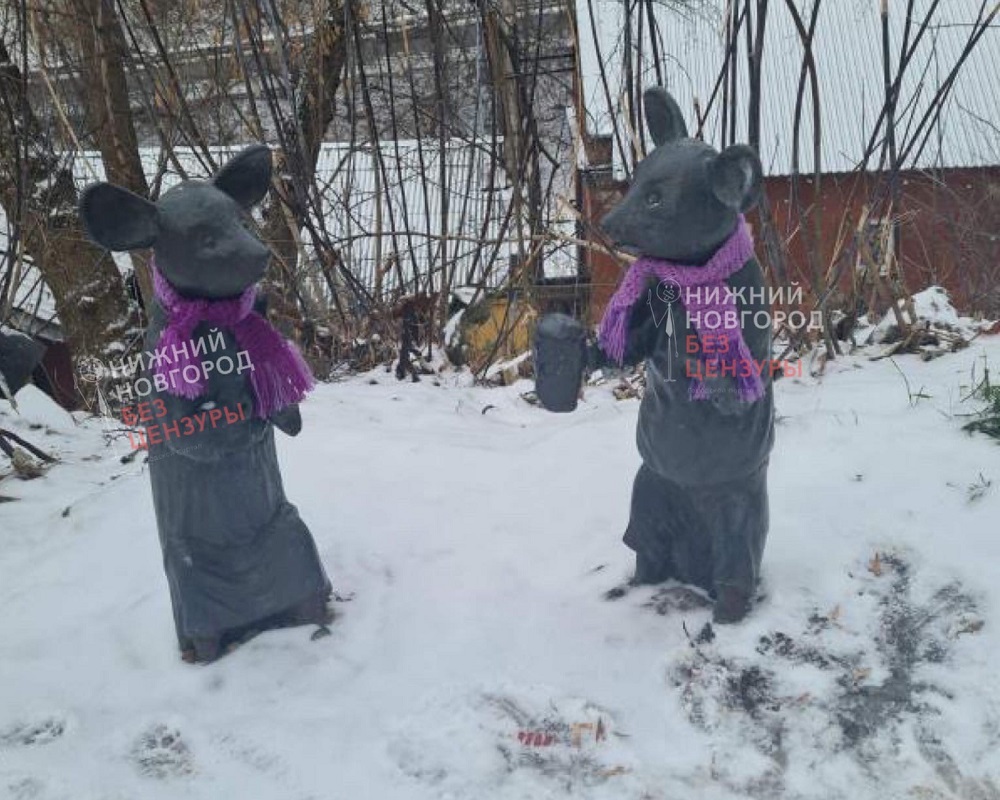 Нижегородцы подготовили мышей на Почаинском овраге к морозам