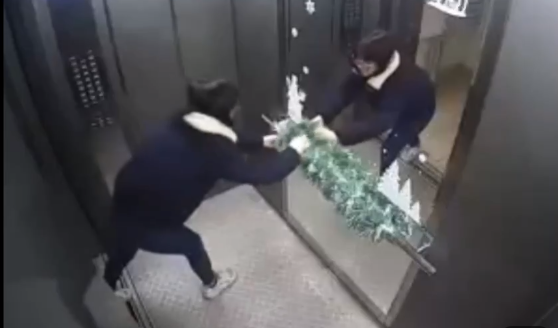 Нижегородка испортила новогодние украшения в лифте дома