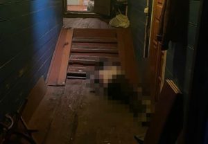 В Кулебаках мужчина убил сожительницу, упрекнувшую его в маленькой зарплате