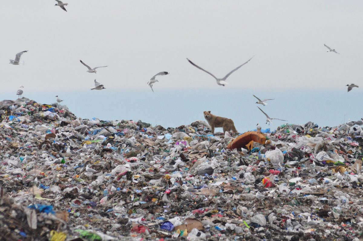 Строительный мусор составляет 80 – 90% на нелегальных свалках в Нижегородской области