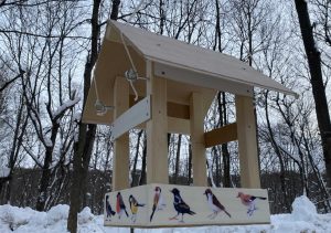 На Щелоковском хуторе установили кормушки для птиц