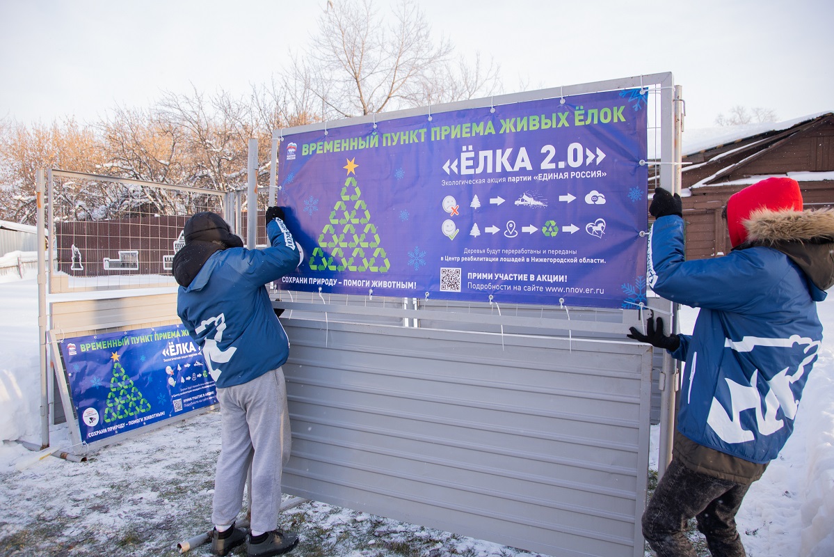 Пункты утилизации новогодних елок открылись в Нижегородской области