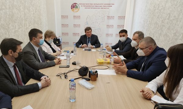 Нижегородские фермеры планируют начать экспорт меда в&nbsp;2022 году