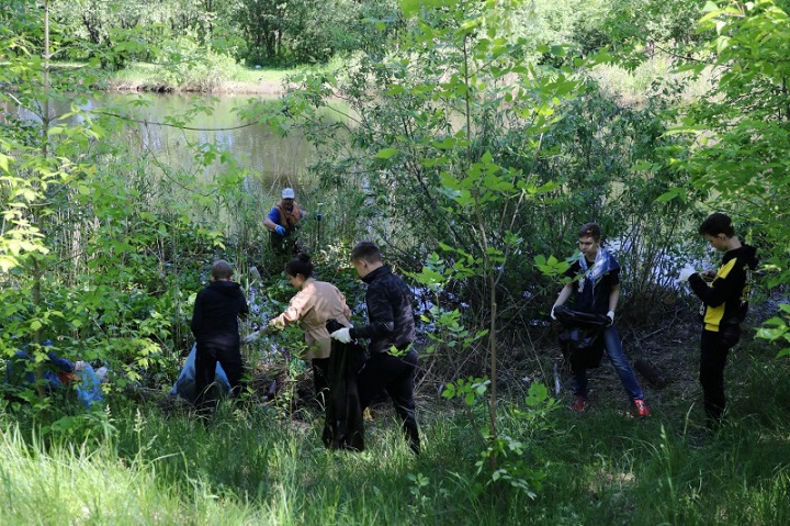 Комиссия Думы по экологии ознакомилась с планами по очистке малой реки Борзовки