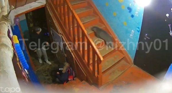 >СК начал проверку после того, как женщина избила 7-летнего ребенка в Володарском районе