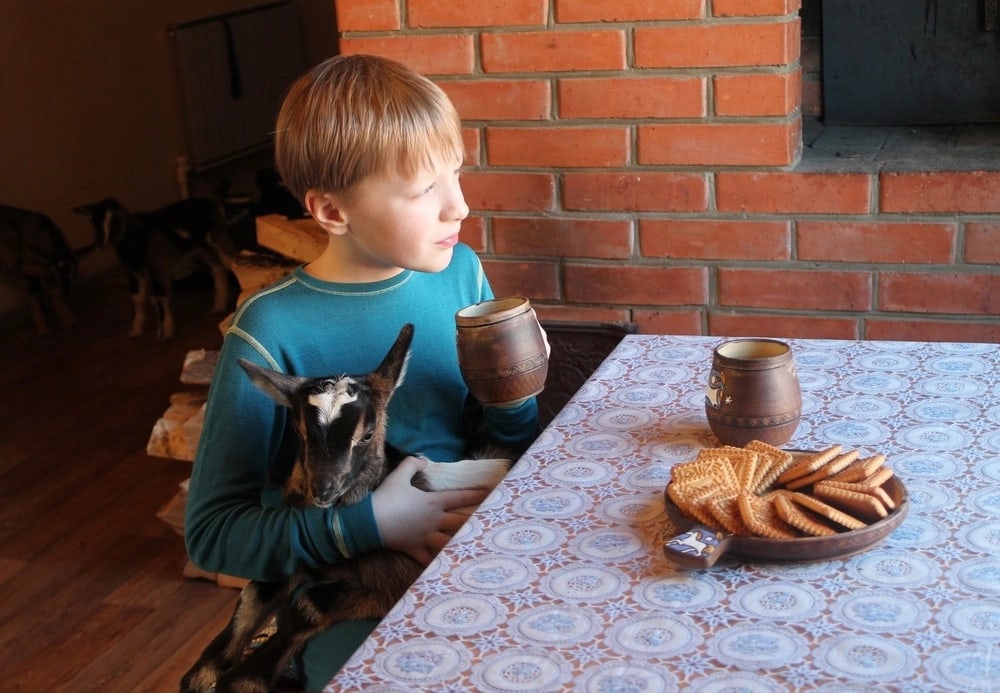 «Козокафе» откроется в Богородске в феврале