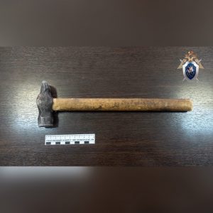 Житель Дзержинска чуть не убил знакомого молотком в торговом центре