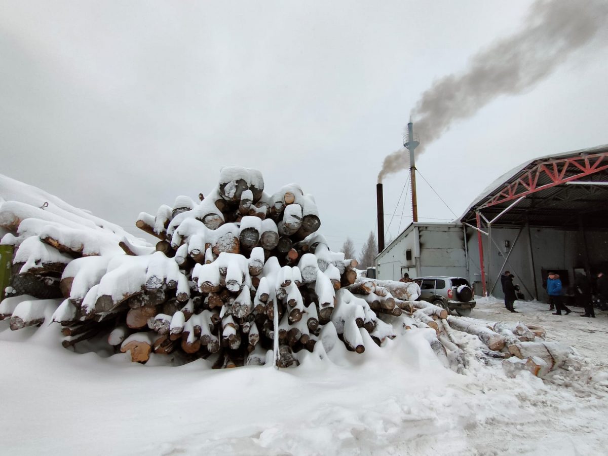 Дед Мороз подарил уголь замерзающим жителям поселка Ветлужский