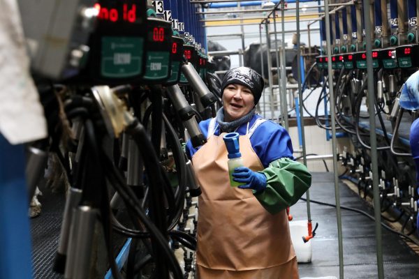 Производство молока выросло в&nbsp;Нижегородской области почти на&nbsp;10 тыс. тонн в&nbsp;2021 году