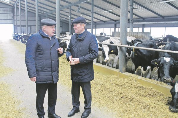 Нижегородская область обеспечена собственным молоком на 80 процентов