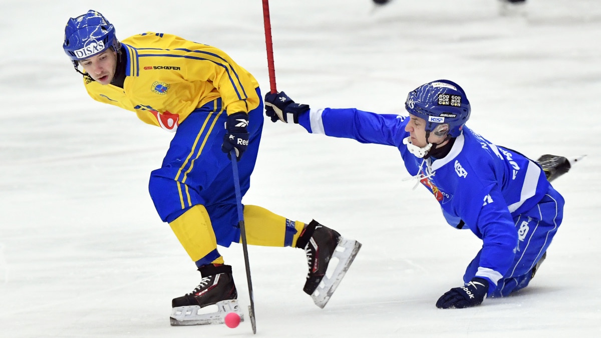 Сборные Швеции и Финляндии отказались от участия в чемпионате мира по хоккею с мячом в Сыктывкаре