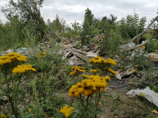 Несанкционированные свалки объёмом более 40 тысяч кубометров планируется вывезти с территории Дзержинска в 2022 году