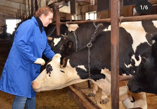 25 животноводческих объектов введено в&nbsp;эксплуатацию в&nbsp;Нижегородской области по&nbsp;госпрограмме в&nbsp;2021 году