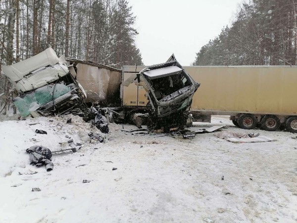 Один человек погиб и двое пострадали в ДТП с большегрузом под Нижним Новгородом