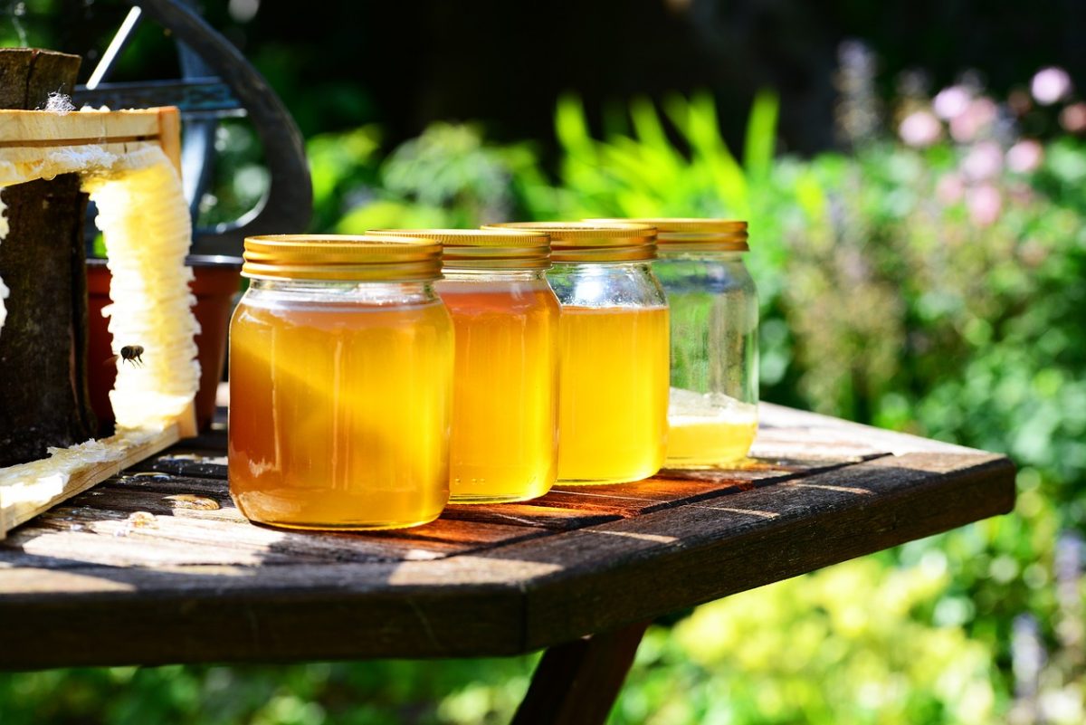 Нижегородские пасечники расскажут всё о пчёлах и мёде 