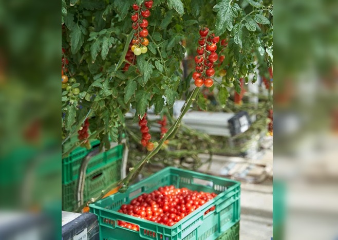 Близость к потребителям: важно или нет? Разберем на примере ГК «РОСТ»