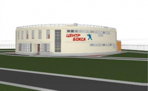 Центр бокса планируют построить в Городце