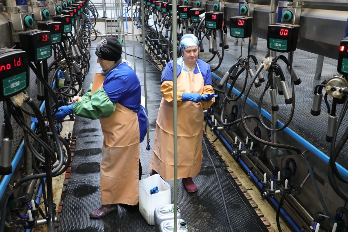 Дальнеконстантиновский район стал в 2021 году лидером в рейтинге муниципалитетов Нижегородской области по производству молока