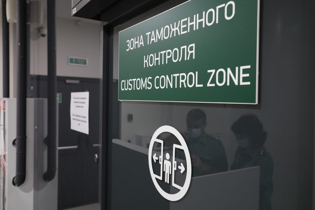 Самарские таможенники задержали женщину со шкурой крокодила в аэропорту