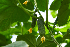 Миссия ГК РОСТ – улучшать свою продукцию каждый день