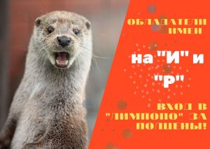 Посетители с именами на «И» и «Р» получат скидку на посещение зоопарка «Лимпопо»
