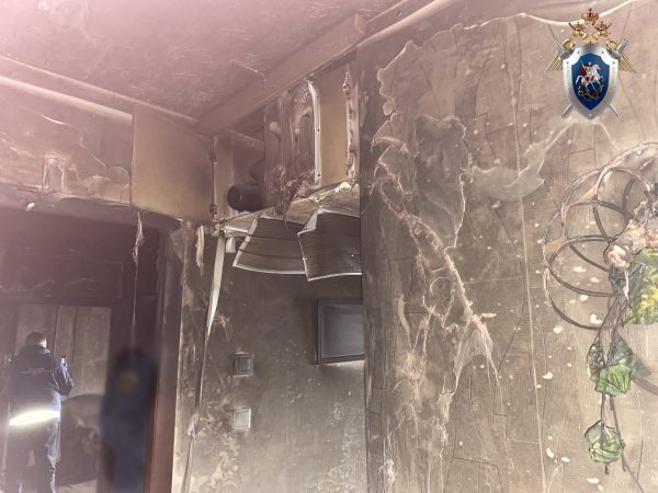 Следователи проверят обстоятельства гибели мужчины на пожаре в Нижнем Новгороде