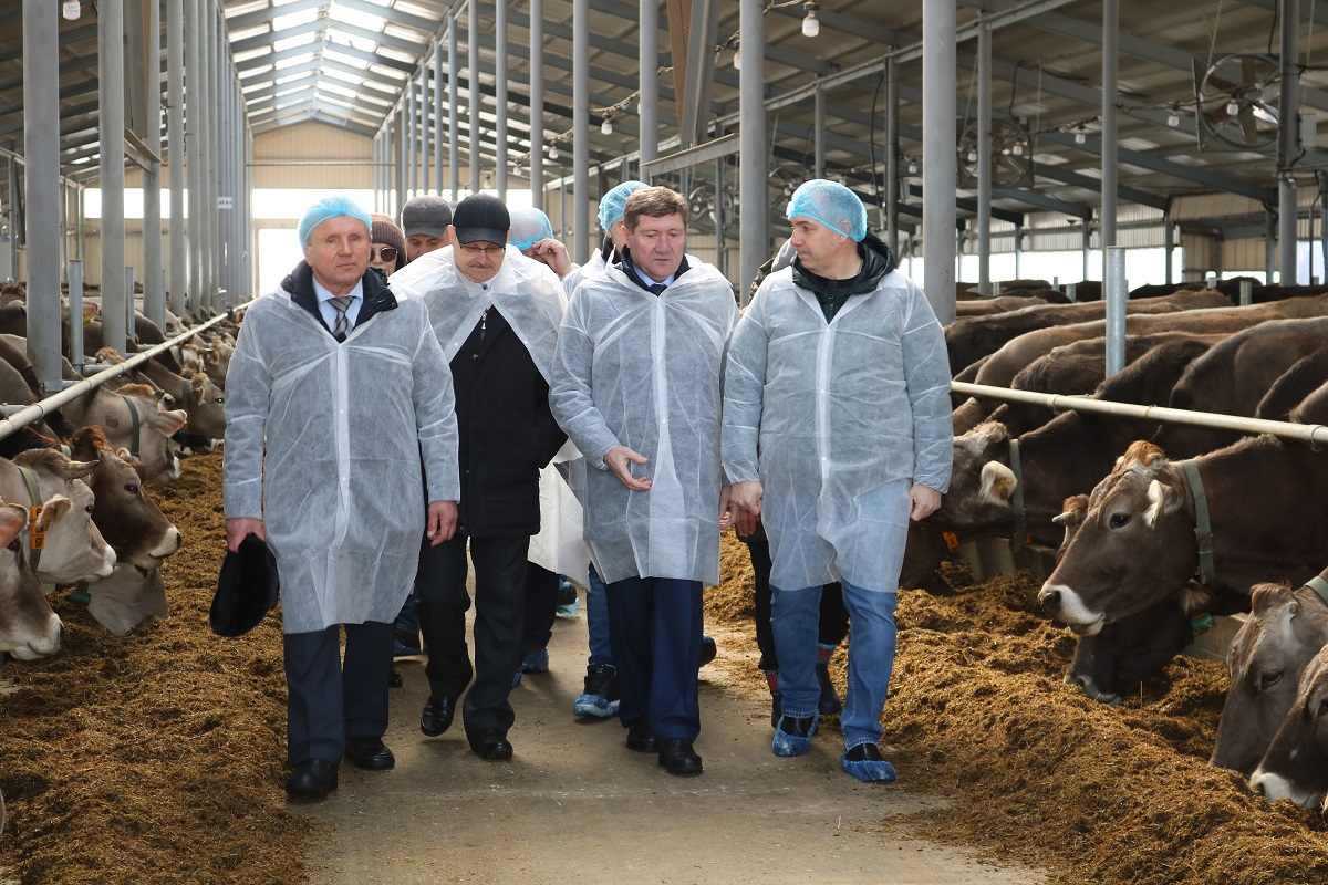 Молочный комплекс на 800 голов ввели в эксплуатацию в городском округе Воротынский