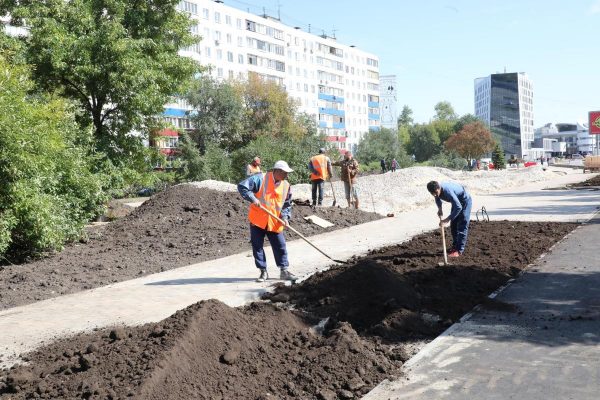 На клумбах Нижнего Новгорода будут высаживать многолетние растения