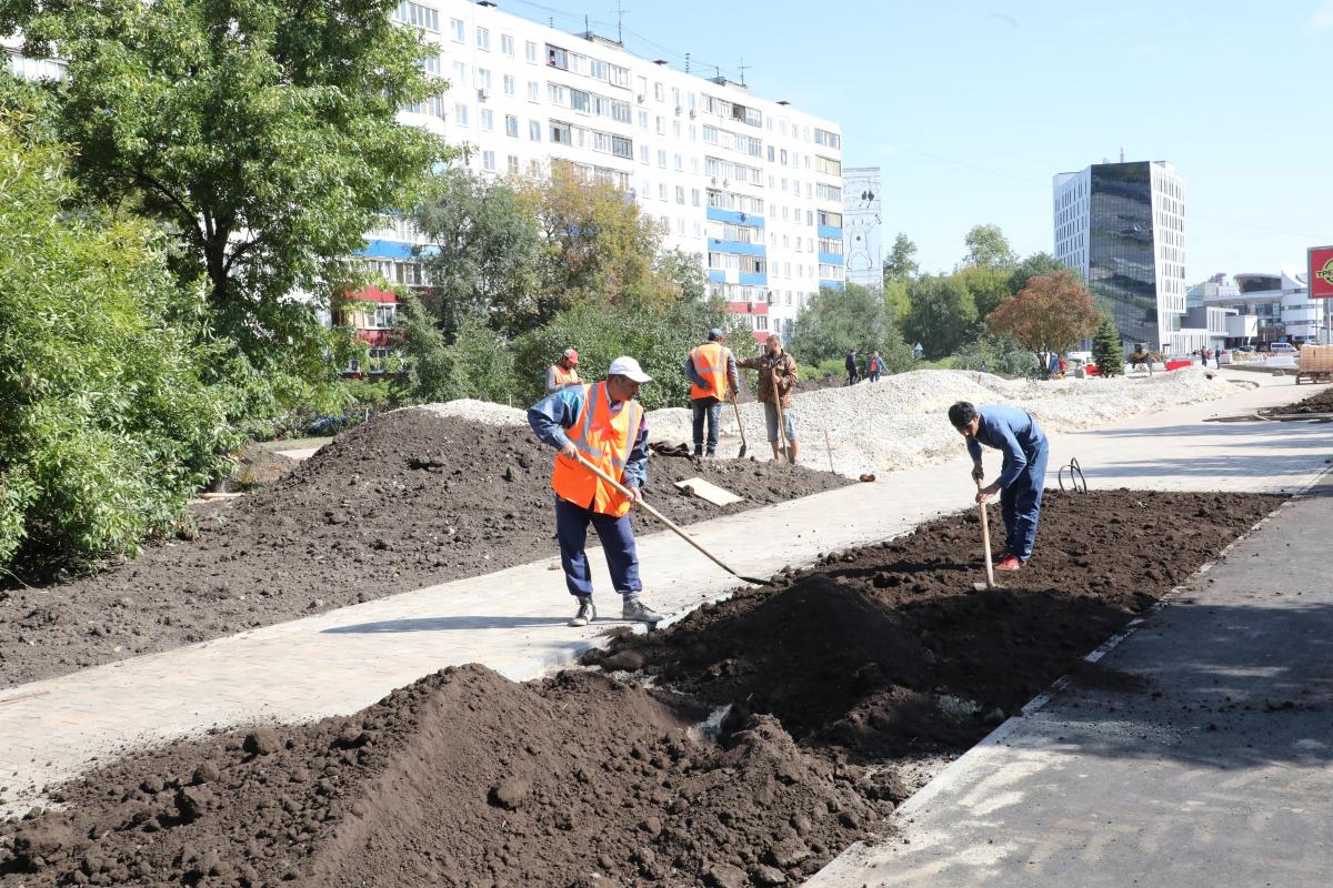 На клумбах Нижнего Новгорода будут высаживать многолетние растения
