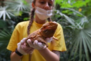 Нижегородцы с именами на «К» и «П» смогут получить скидку на билеты в зоопарк «Лимпопо» в апреле