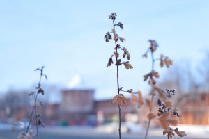 Ночные морозы до ‑20 градусов ожидаются в Нижнем Новгороде до конца этой недели