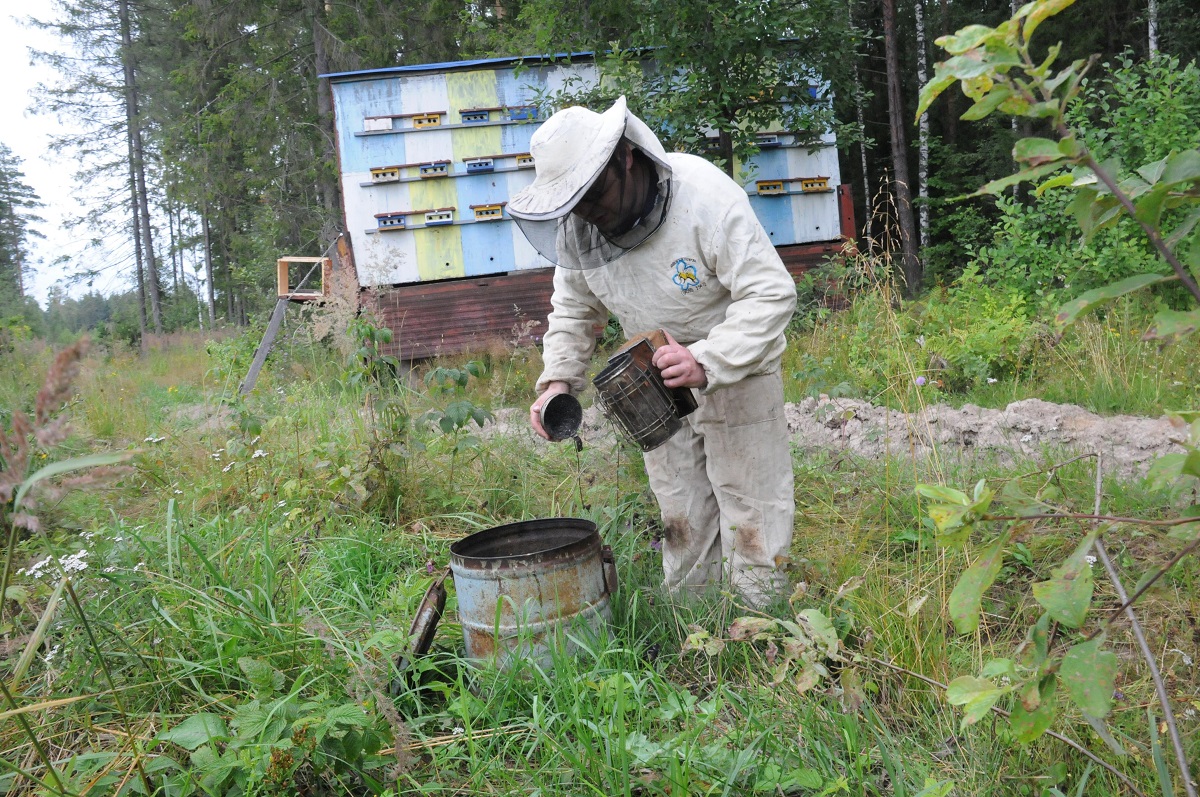 Как сделать выгодной продажу нижегородского мёда?