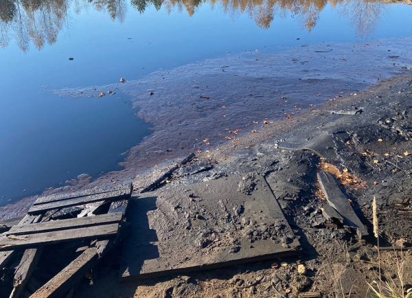 Заволжский моторный завод оштрафовали за отсутствие лицензии на обращение с отходами