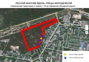 Несмотря на прогноз погоды, общегородской субботник в Дзержинске состоится 16 апреля