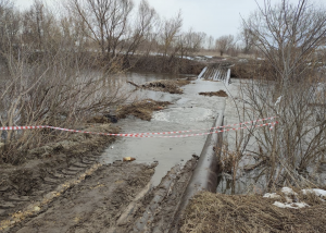 7 низководных мостов и 20 придомовых территорий затопило в Нижегородской области