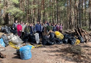 На&nbsp;территории Борского районного лесничества ликвидирована несанкционированная свалка