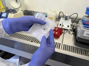 Клещи покусали более семи тысяч нижегородцев 2022&nbsp;году