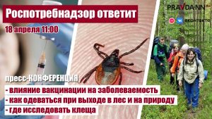 Роспотребнадзор расскажет, что делать при встрече с клещом