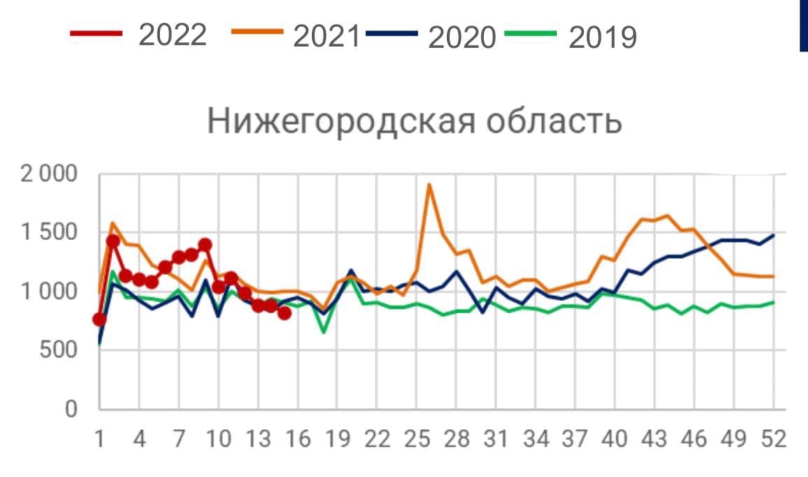 Фото: Из Telegram-канала Давида Мелика-Гусейнова