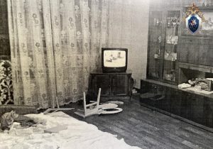 Нижегородка напала с ножом на сожителя, но пожалела его и вызвала медиков