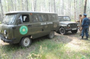 Особый противопожарный режим установлен в Нижегородской области
