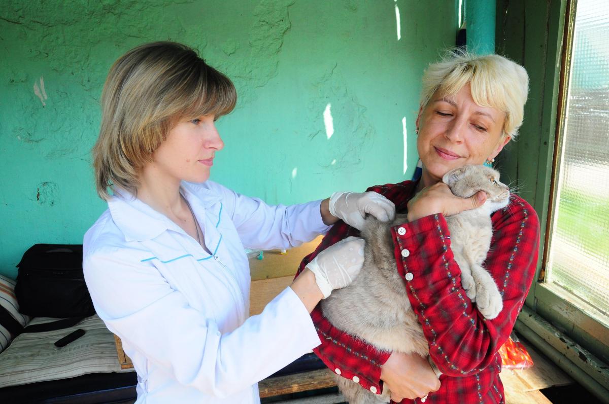 Бесплатная вакцинация домашних животных пройдёт в Приокском районе Нижнего Новгорода
