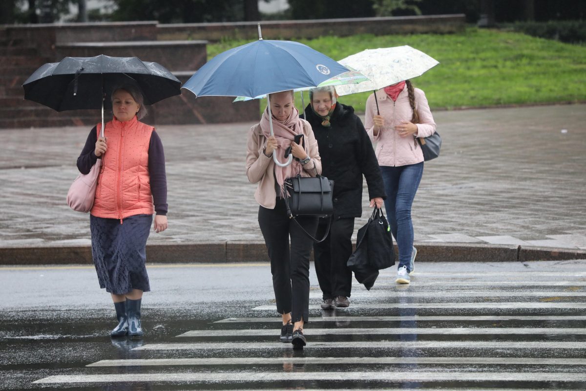 В ближайшие часы в Нижегородской области ожидаются сильные ливни