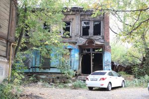 Первые гадюки начали просыпаться в Нижегородской области