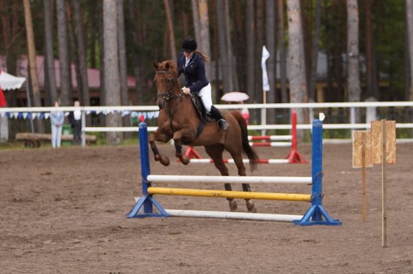 Иван Носков: «Однозначно будем развивать конный спорт на территории Дзержинска»