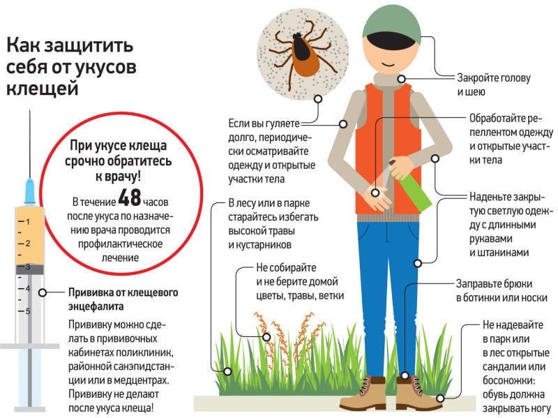 Все общественные пространства Дзержинска обработали от клещей и комаров