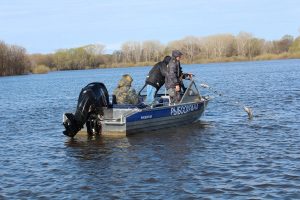 Более 400 особей рыбы на нересте спасено из браконьерских сетей в водоемах Нижегородской области