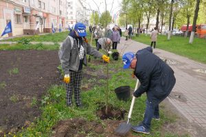 Аллею Памяти высадили в центре Автозаводского района Нижнего Новгорода