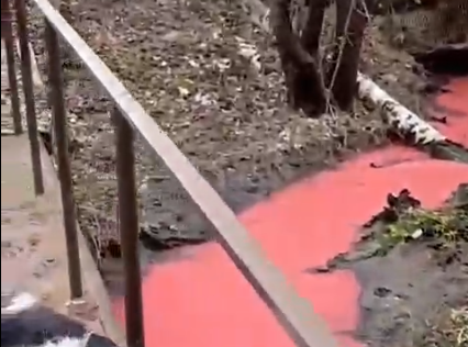 Минэкологии обследует розовую реку в Кстовском районе
