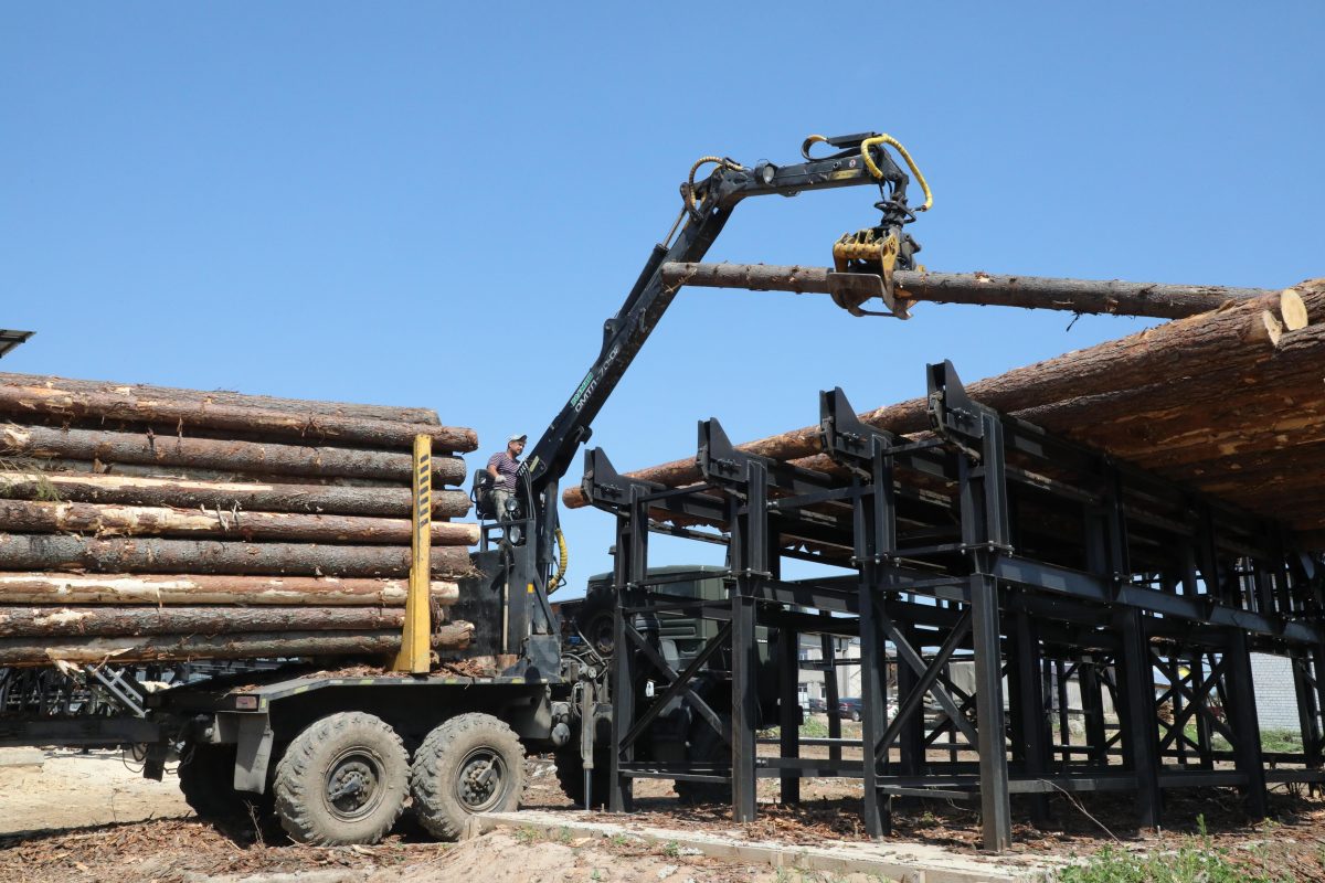 Жителя Арзамасского района обвиняют в незаконной вырубке деревьев почти на миллион рублей